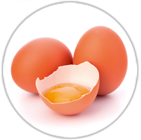 Icon Adi Wert Hauptallergengruppen Eier