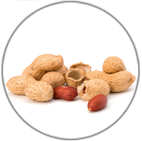 Icon Adi-Wert-Hauptallergengruppen-Erdnuesse