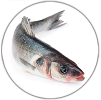 Icon Adi-Wert-Hauptallergengruppen-Fisch