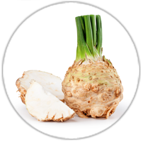 Icon Adi-Wert-Hauptallergengruppen-Sellerie