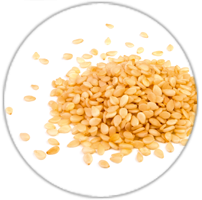 Icon Adi-Wert-Hauptallergengruppen-Sesam