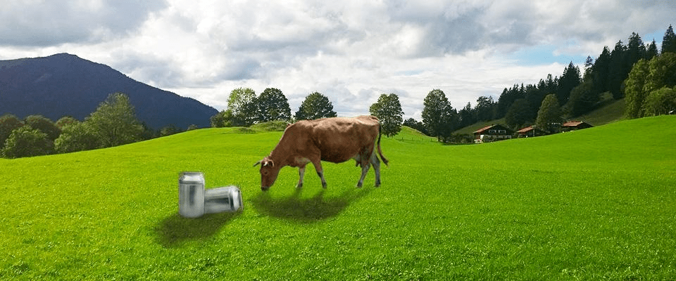 Butter Fettsaeuren-Koch besucht Bauer alles in Butter Titelbild