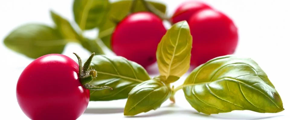 E-Nummern Zusatzstoffe Titelbild