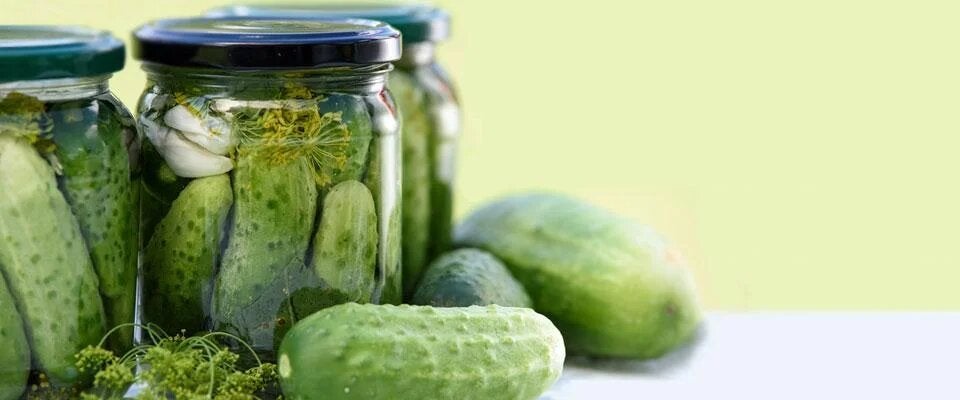 fermentieren-titelbild