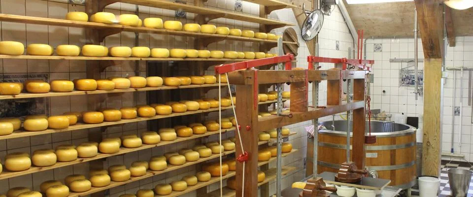 Kaese Herstellung Koch besucht Bauer alles Kease oder Titelbild