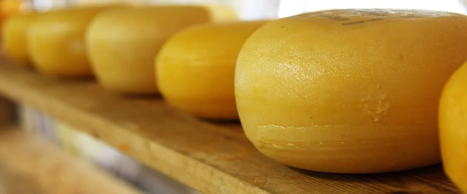 Kaesesorten Koch besucht Bauer alles Kaese oder Titelbild