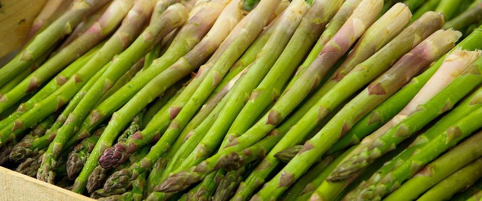 Koch besucht Bauer Spargel Titelbild