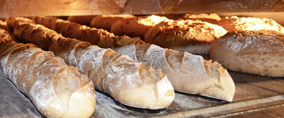 koch besuchte baecker sauerteig herstellen thumbnail