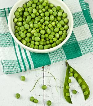 Icon Pflanzliche-Proteine-Im-Fokus-Erbsen