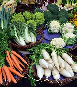 Icon Pflanzliche-Proteine-Im-Fokus-Knollengemuese