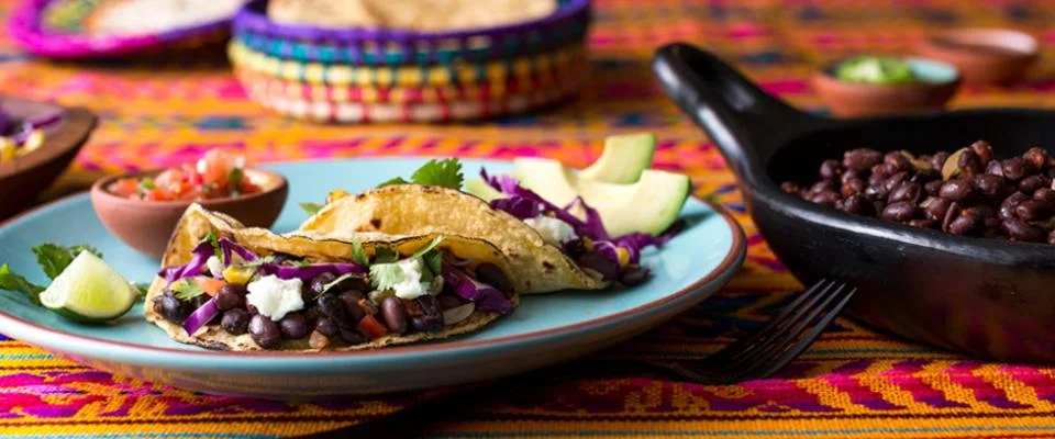 Pflanzliche Proteine