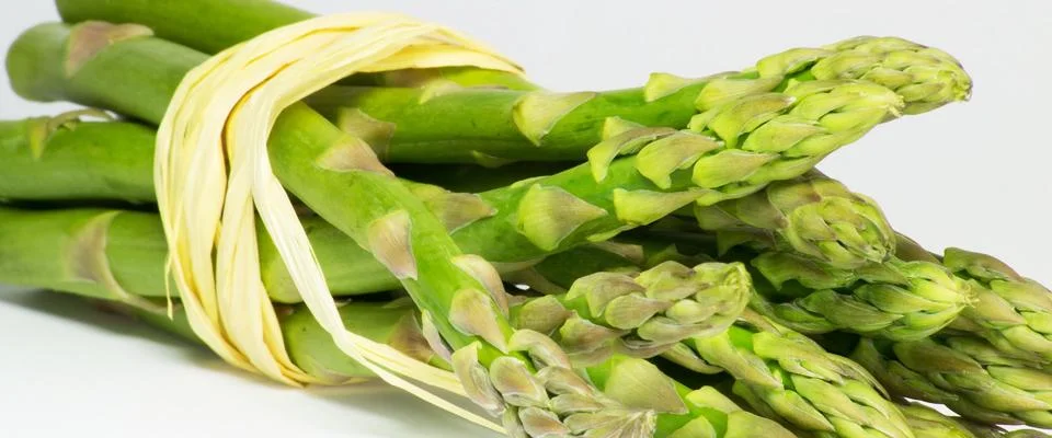 Spargelsorten im Geschmackstest Titelbild