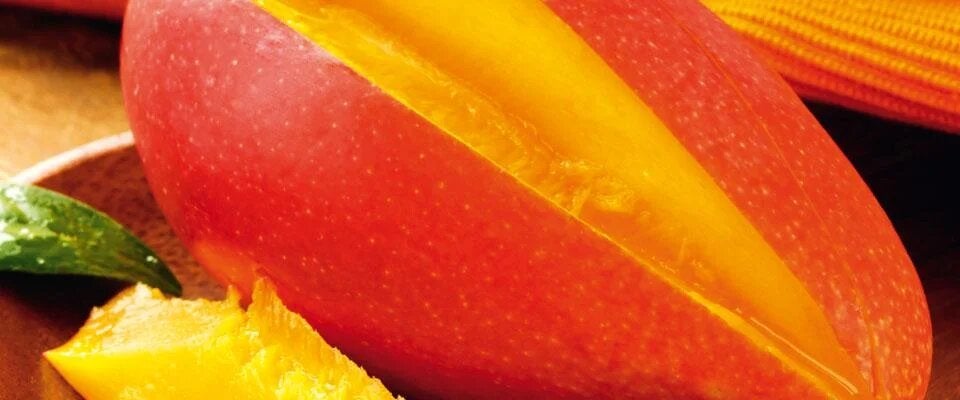 Vitaminschonend kochen