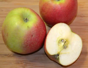 Apfelsorte Pink Lady