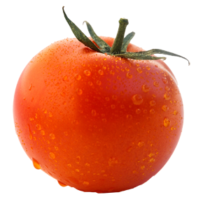 Icon E-Nummern-E-160D