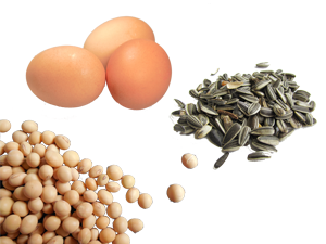 Icon E-Nummern-E-322