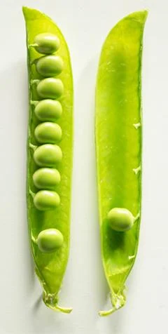 media-element file-wysiwyg-right