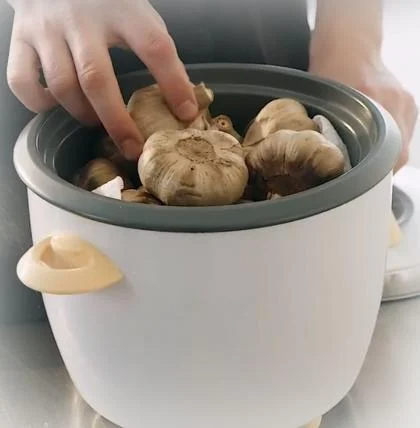 Knoblauch Fermentation