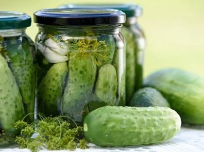 fermentieren-thumbnail