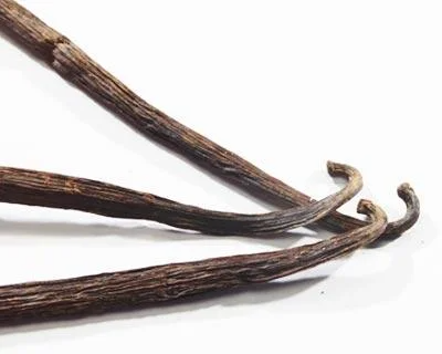 Icon Gewuerz-Vanille