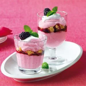 Joghurt Herstellung Brombeer Joghurt Trifle