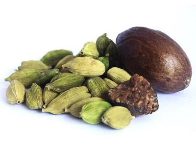 Icon Kardamom-Gewuerzkunde