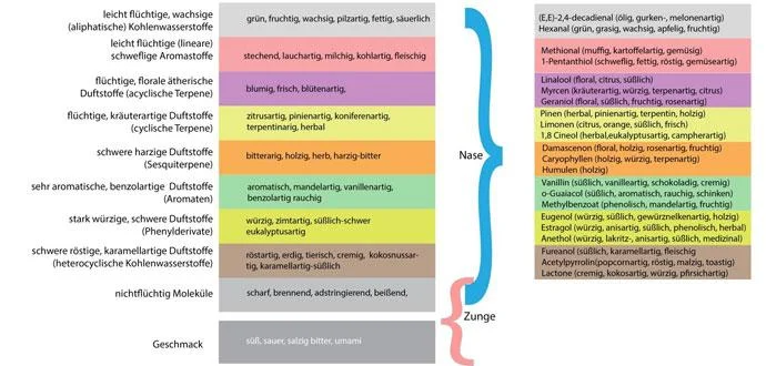 Food-Pairing-Aromagruppen