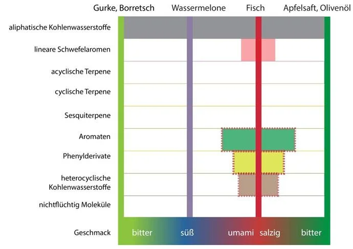 Food-Pairing-Aromaschema