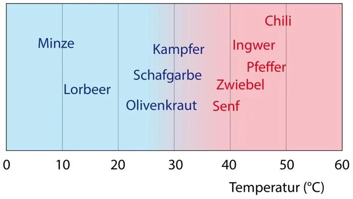 Food-Pairing-Kulinarisch