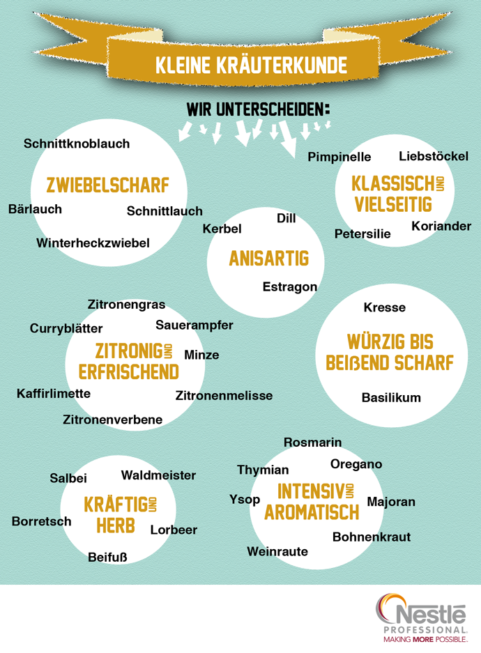 Kraeuter Infografik kleine Kraeuterkunde