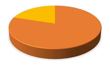 Icon Kuechenorganisation, gelb und orange