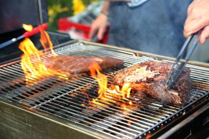 nestle professional food truck festival grillfleisch