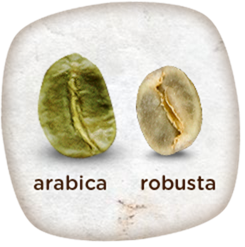 Robusta