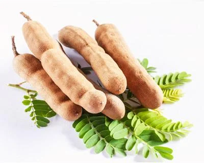 Icon Tamarinde-Gewuerzkunde