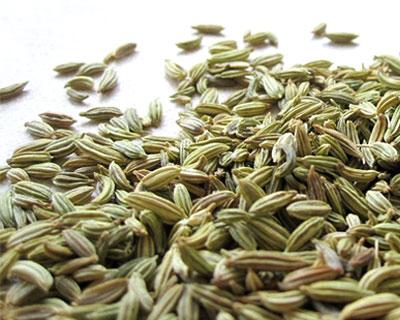 fenchelsamen