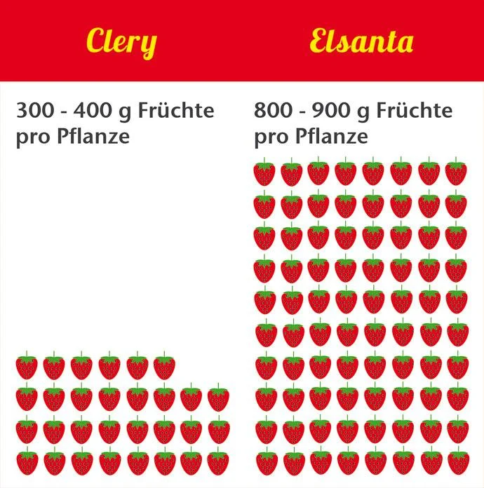 keyword ertragsvergleich