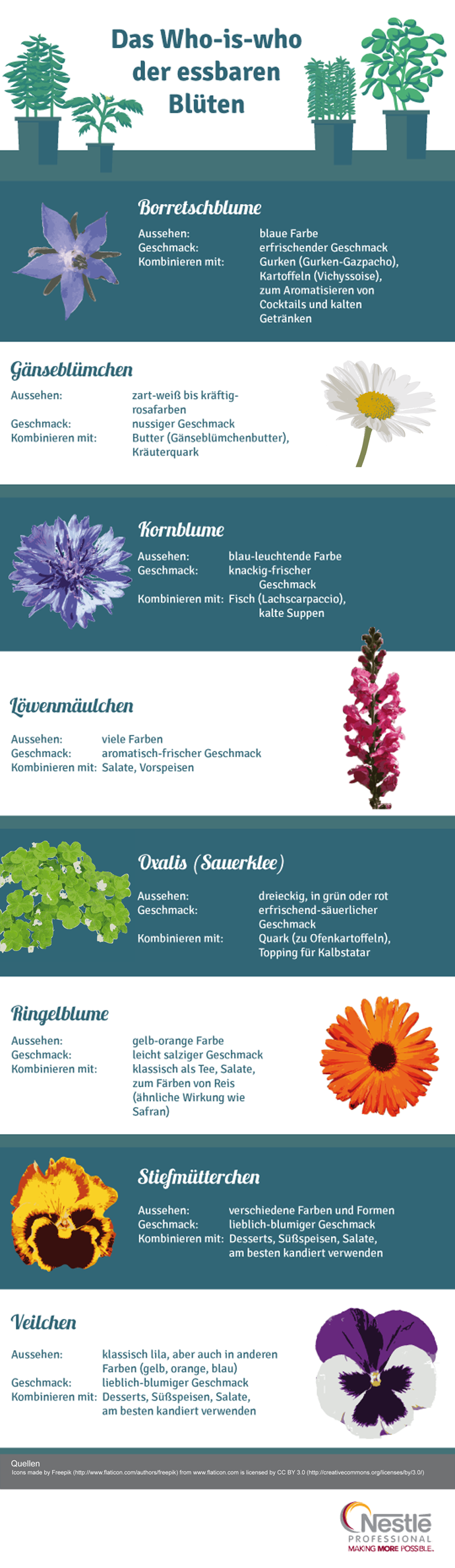 Das Who is Who der essbaren Blueten