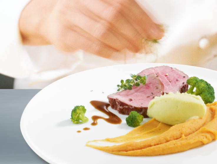 Püree Maggi Profiküche