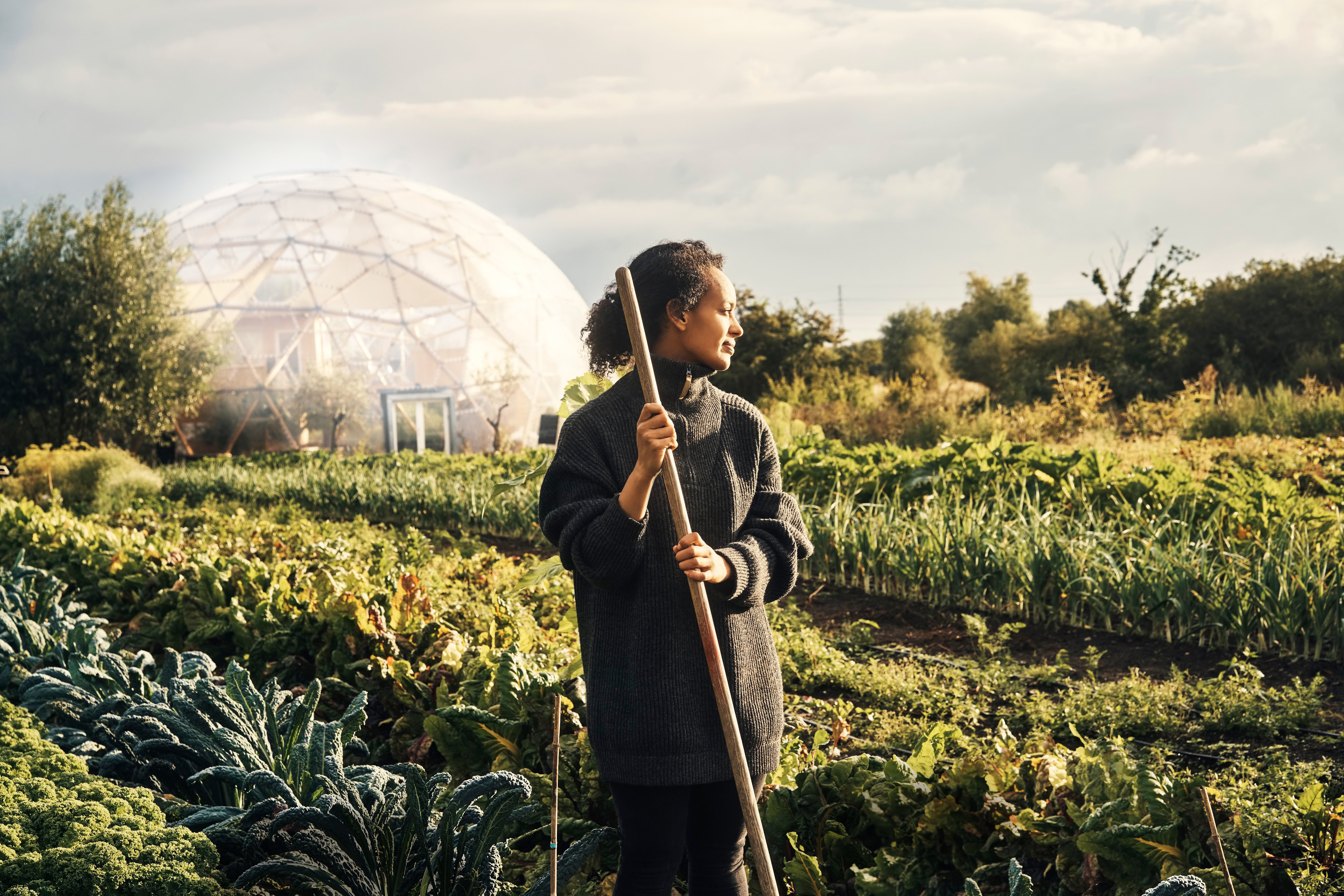 Lebensmittelindustrie Klimawandel