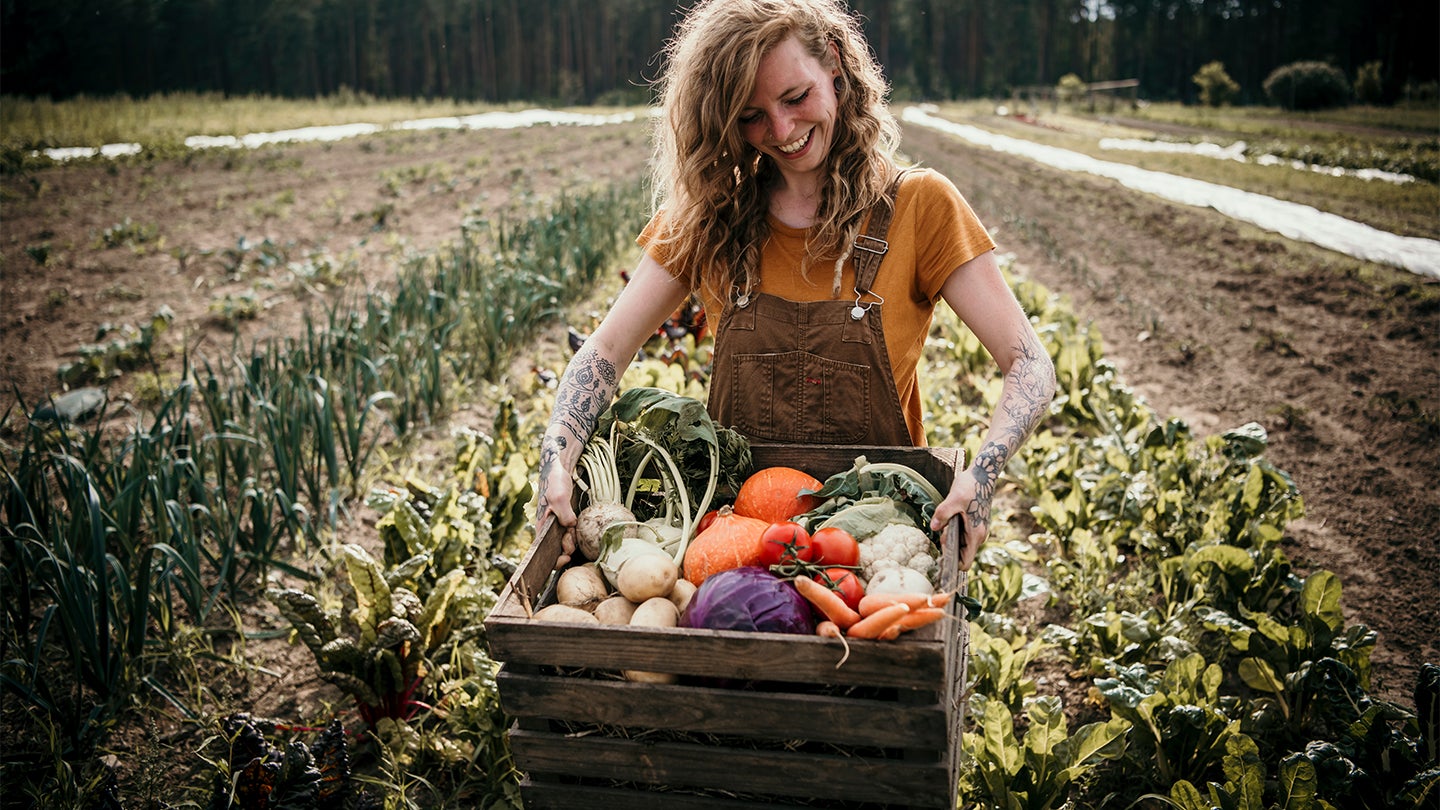 Plant-Based Fish Genuss Fischersatz