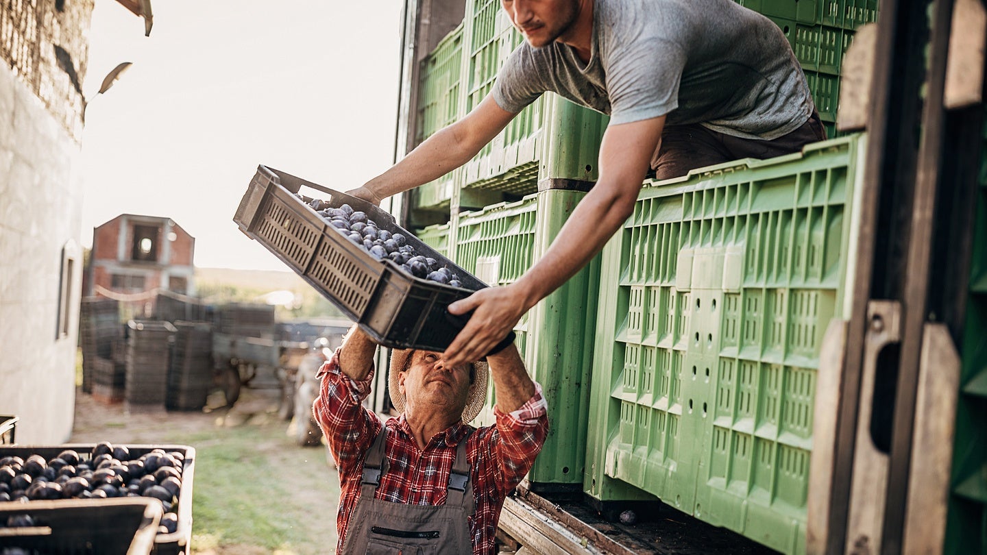 Bestellung und Lagerung