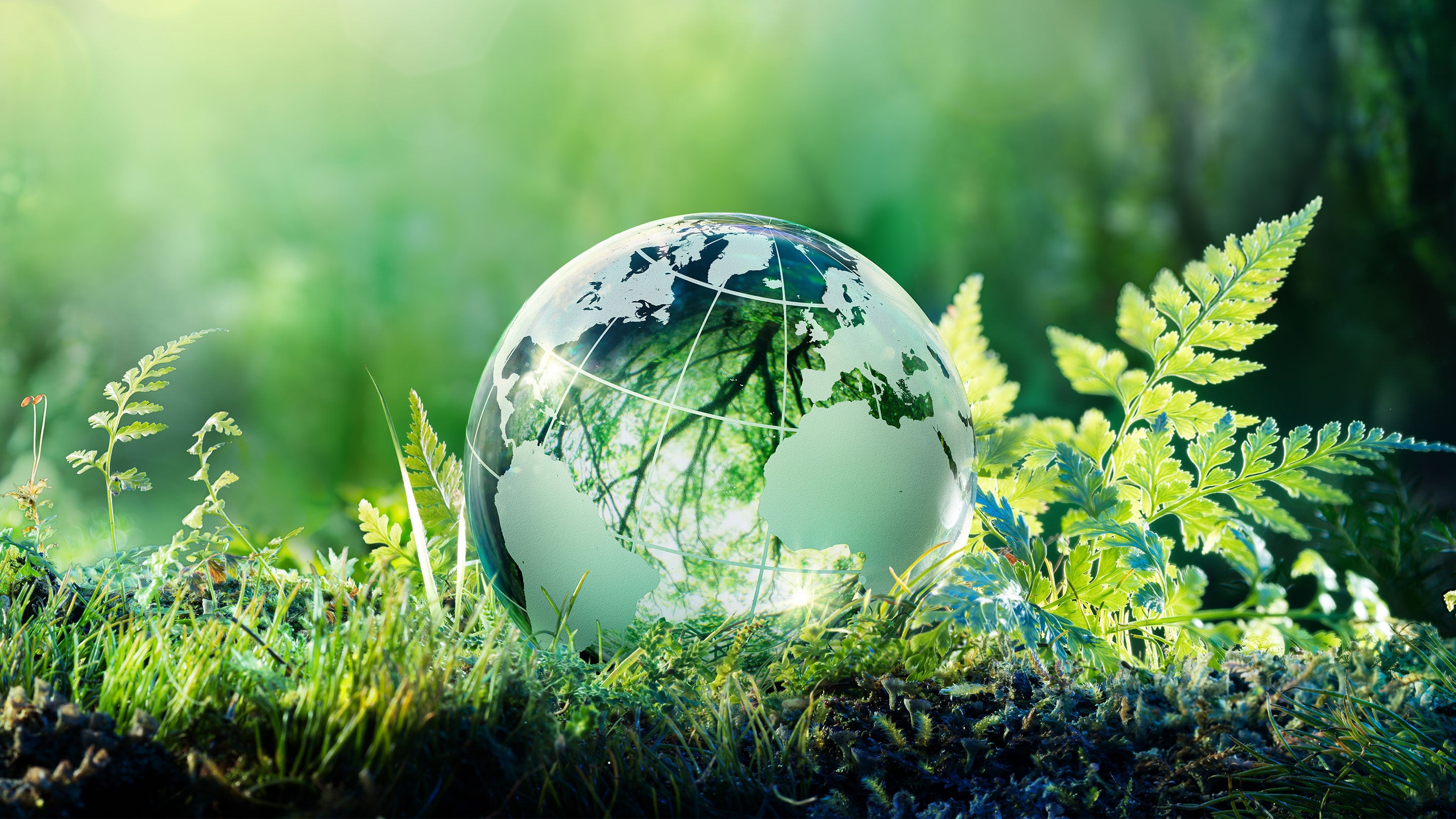 Nachhaltigkeit, Umwelt mit Globus aus Glas