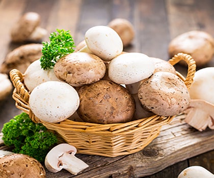 Champignon Pilze auf Holzkorb