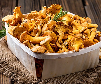 Pfifferlinge im Korb Körbe Händler Verkauf