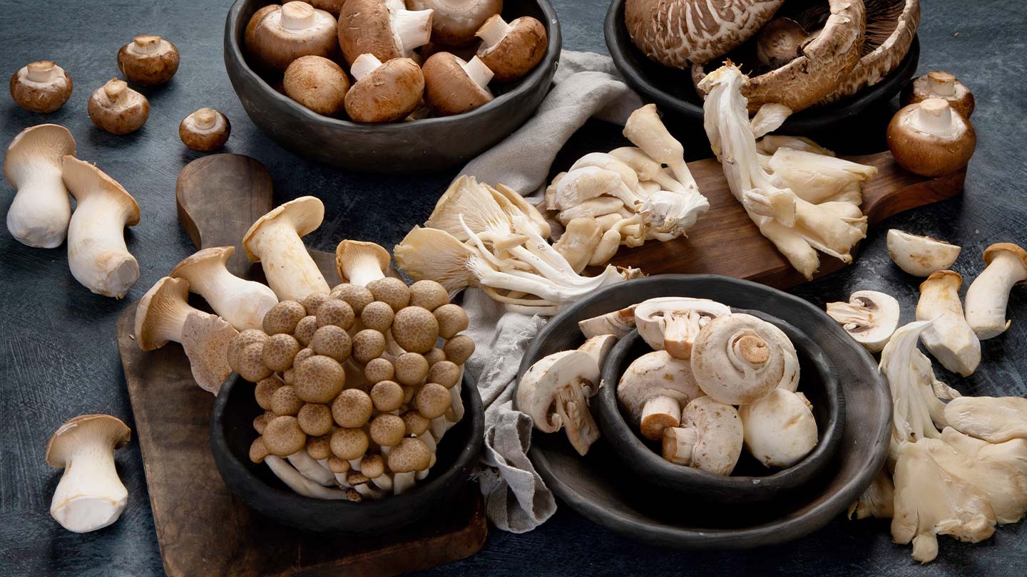 Auswahl an rohen Pilzen auf dunklem Hintergrund. Veganes Lebensmittelkonzept.