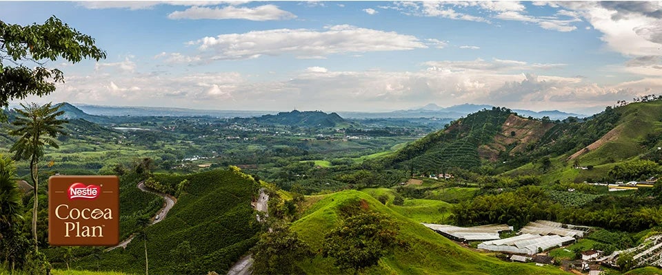 Icon Nestle Cocao Plan