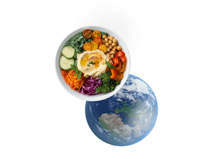 Erde und Bowl Gericht