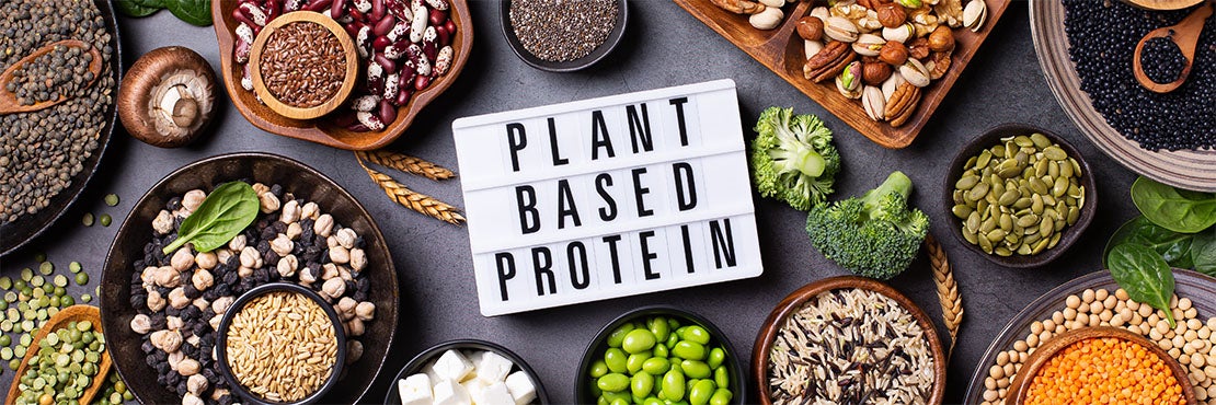 Plant Based Protein