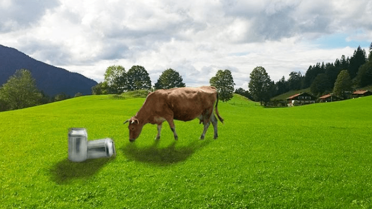 Butter Fettsaeuren-Koch besucht Bauer alles in Butter Titelbild