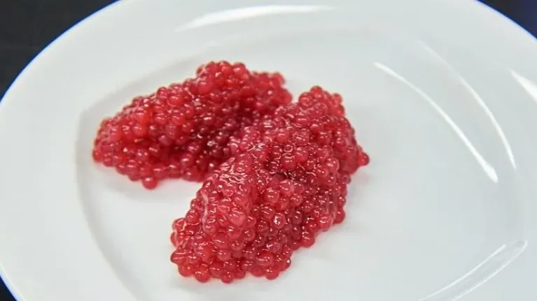 Roter Fruchtkaviar